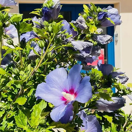 Camping Domaine Mon Calme