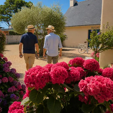 Domaine Mon Calme Kemp