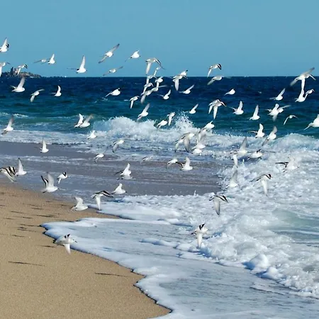 Domaine Mon Calme * פיריאק-סור-מר