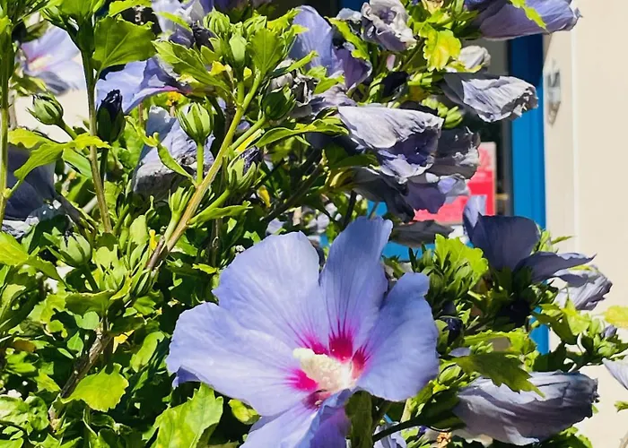 Кемпинг Domaine Mon Calme