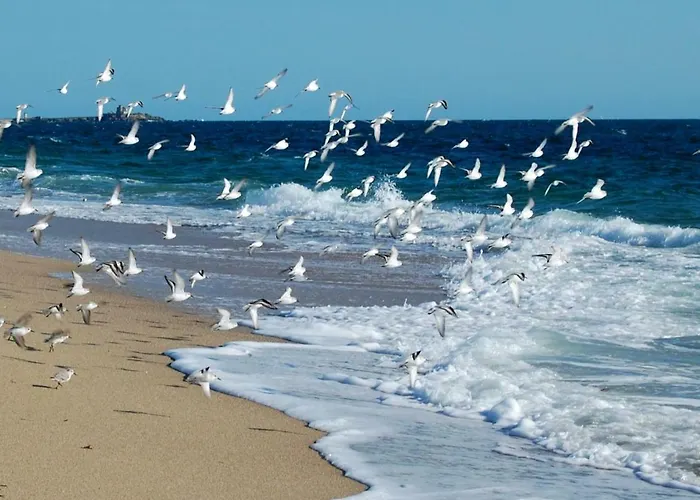 Domaine Mon Calme * Пирьяк-Сюр-Мер